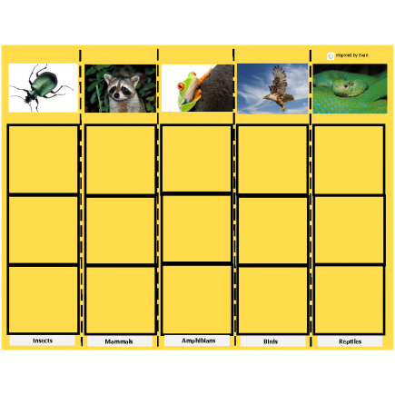 Animal Category Sorting for Autism
